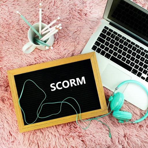 Watch misni sdedn nises